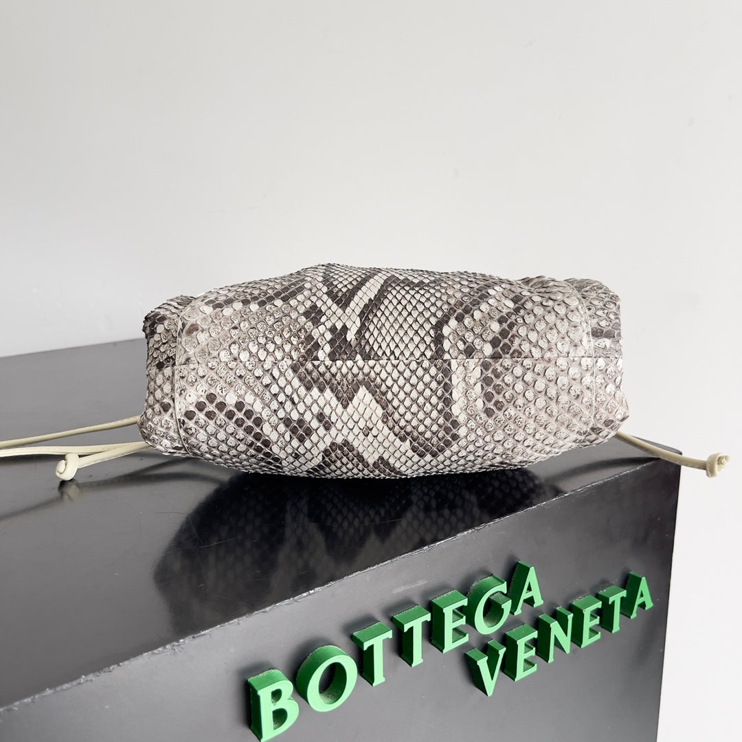 BV Mini Pouch Bag 22cm Leather-Trimmed Python Clutch 209316